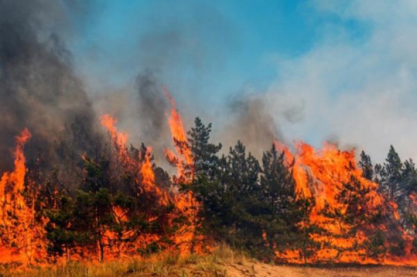 Fire Fighting Training: Be Prepared for Fire Season