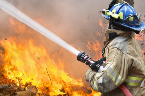 Fire Fighting Training: Protecting Nature, Communities And Livelihoods From Wildfires
