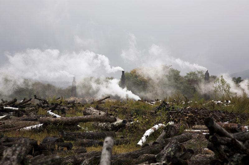 health-and-safety-training-deforestation