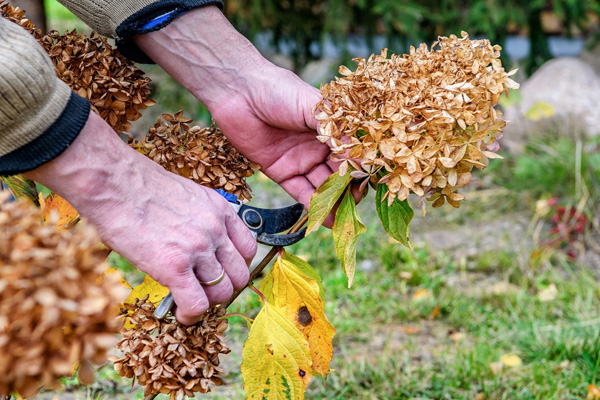 fire-fighting-training-pruning-dead-bushes