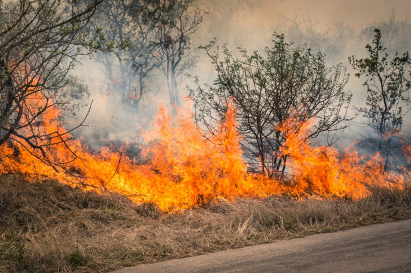 fire-fighting-training-wildfire-cigarette-butt