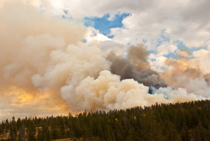 fire-figting-training-forested-horizon-aflame