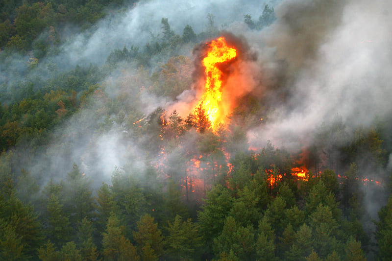 fire-figting-training-forst-fire-aerial-view