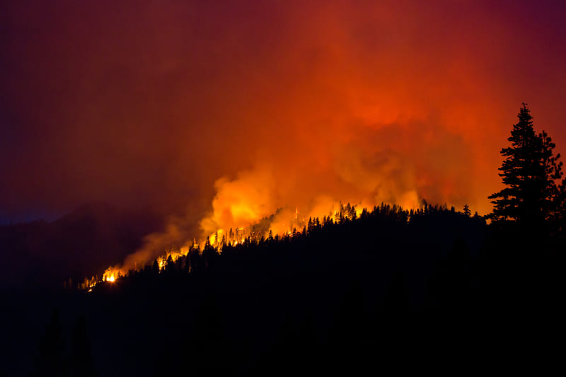 fire-figting-training-wildfire-at-night