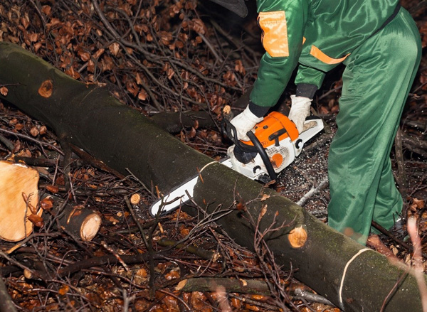 health-and-safety-course-using-chainsaw