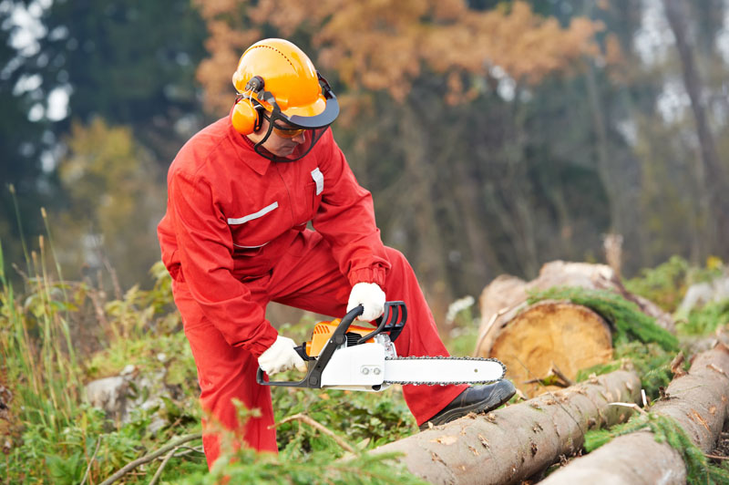 safety-officer-course-chainsaw