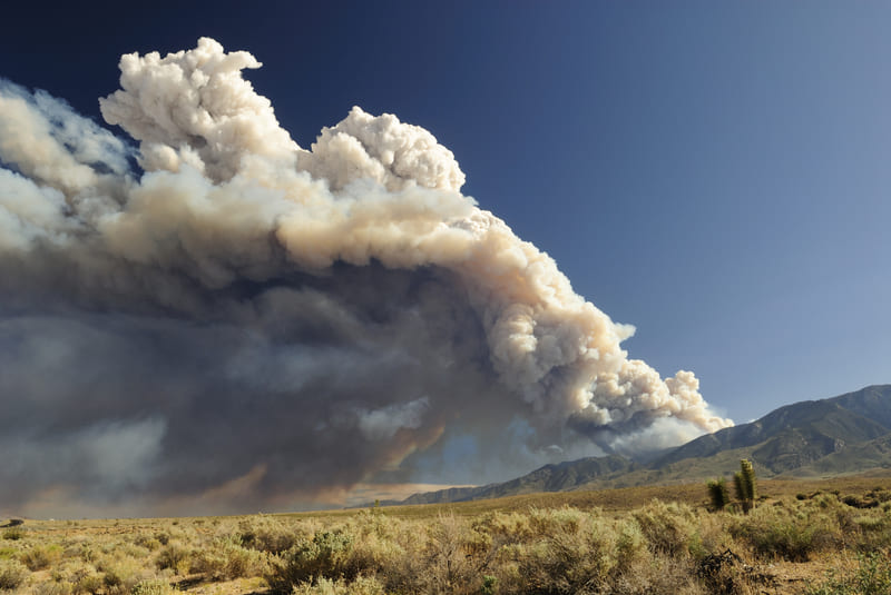 EMCARE - Fire Fighting Training - Distant Wildfire
