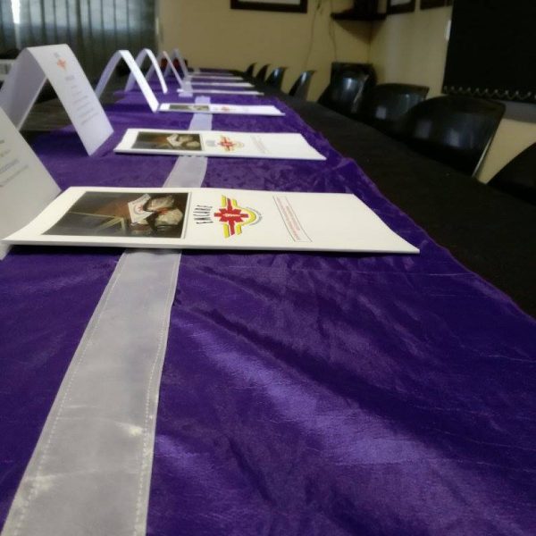 EMCARE COIDA Workshop (3)