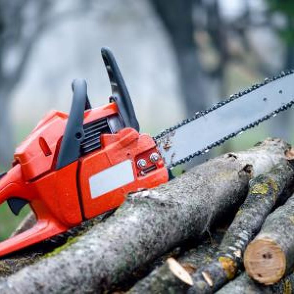 image009.b586a9763ac8eba8154ec1e21e850e63