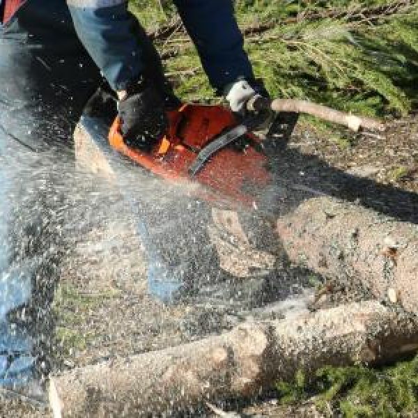 image010.b586a9763ac8eba8154ec1e21e850e63