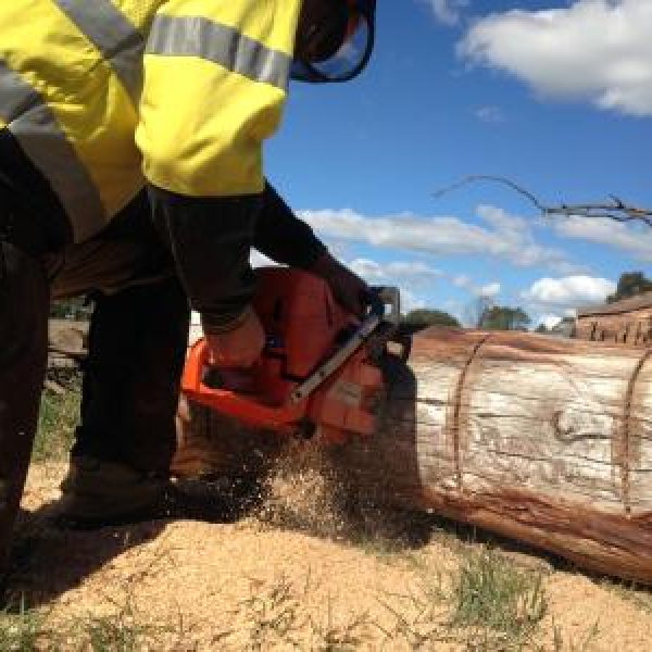 image011.b586a9763ac8eba8154ec1e21e850e63