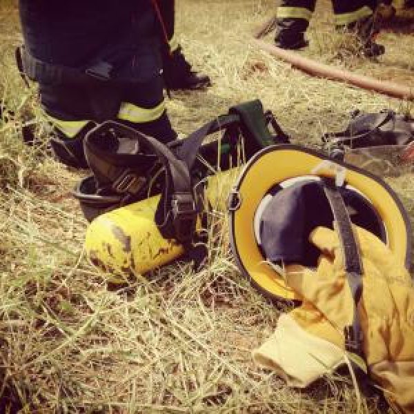 img-20180328-101653.1bd9680b96a6d3bf31e5c75097398ea7