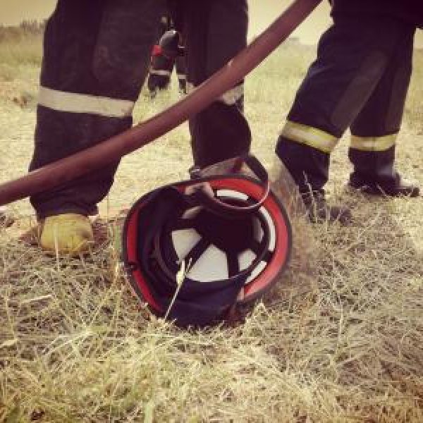 img-20180328-104855.1bd9680b96a6d3bf31e5c75097398ea7