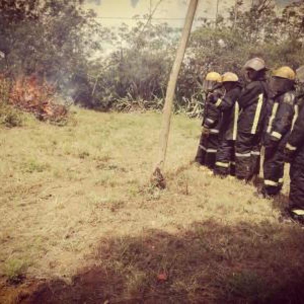 img-20180403-wa0036.1bd9680b96a6d3bf31e5c75097398ea7