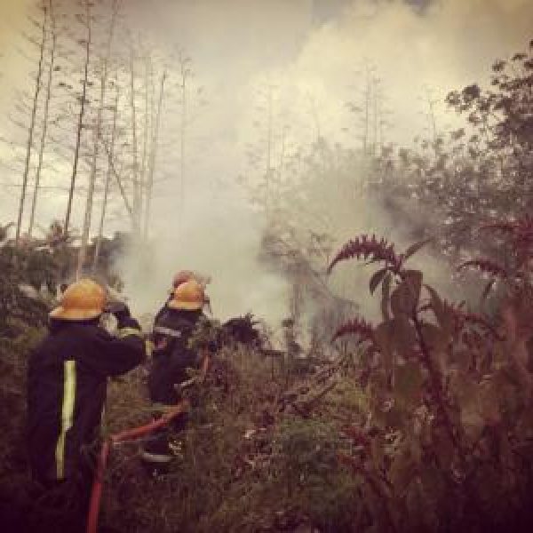 img-20180403-wa0048.1bd9680b96a6d3bf31e5c75097398ea7