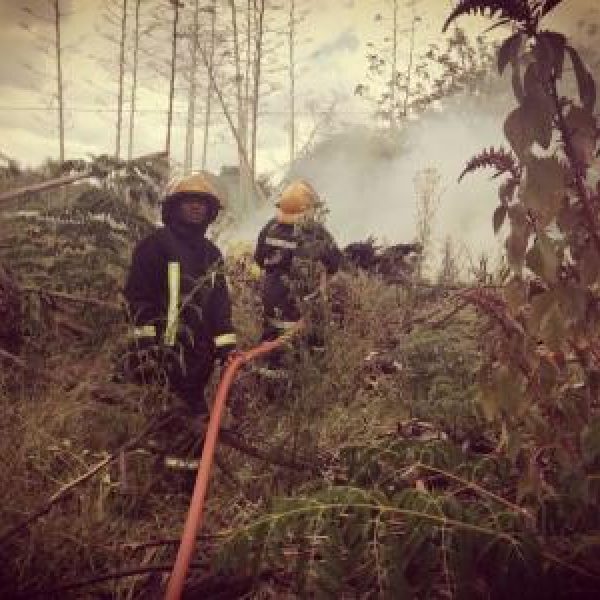 img-20180403-wa0049.1bd9680b96a6d3bf31e5c75097398ea7