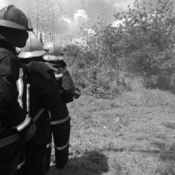 img-20180403-wa0078.1bd9680b96a6d3bf31e5c75097398ea7