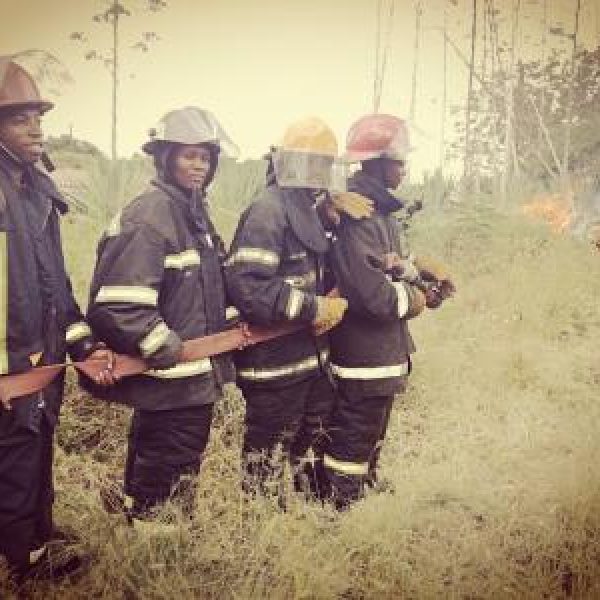 img-20180403-wa0090.1bd9680b96a6d3bf31e5c75097398ea7