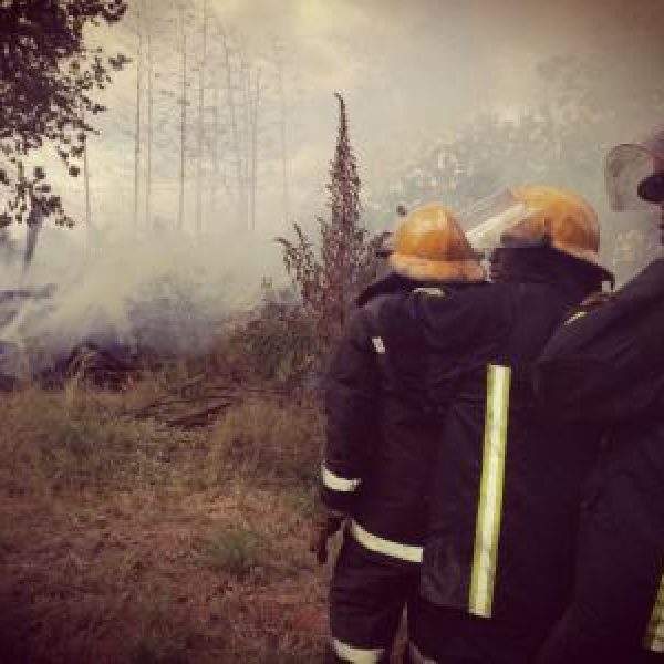 img-20180403-wa0097.1bd9680b96a6d3bf31e5c75097398ea7