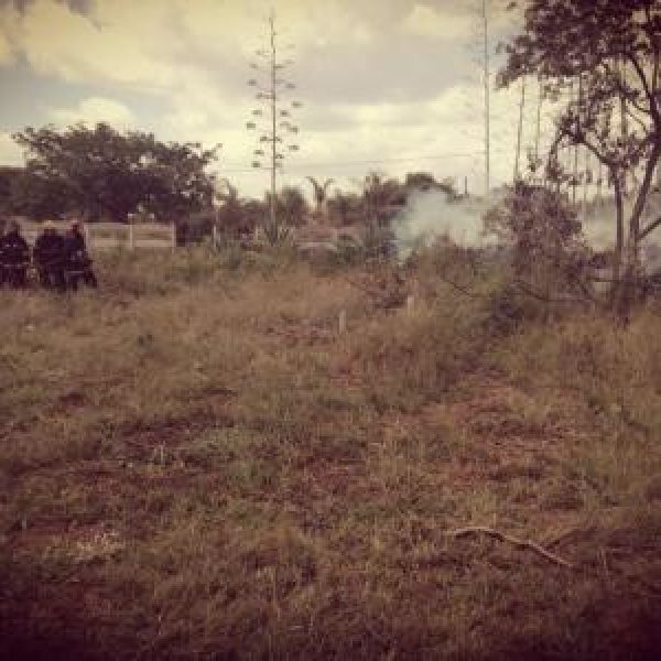 img-20180403-wa0109.1bd9680b96a6d3bf31e5c75097398ea7