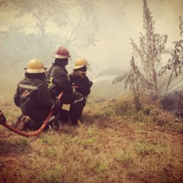 img-20180403-wa0110.1bd9680b96a6d3bf31e5c75097398ea7