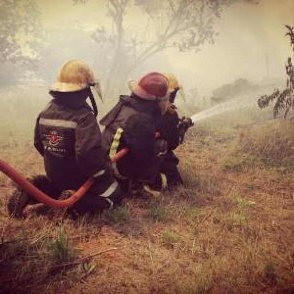 img-20180403-wa0111.1bd9680b96a6d3bf31e5c75097398ea7