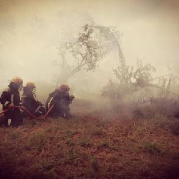 img-20180403-wa0112.1bd9680b96a6d3bf31e5c75097398ea7