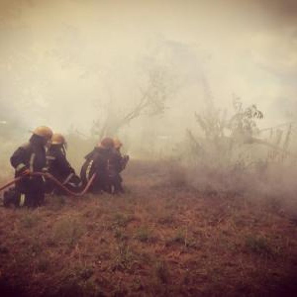 img-20180403-wa0125.1bd9680b96a6d3bf31e5c75097398ea7