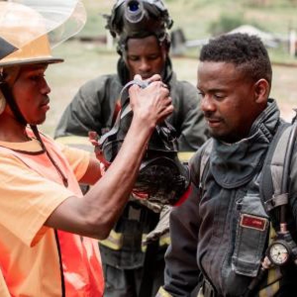 rat-cage-1.c23c2e5bc1a7bd8878ced3e36729b7aa