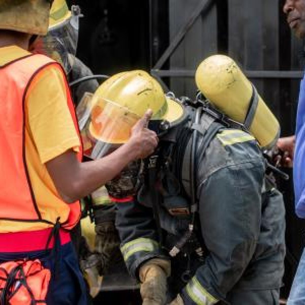 rat-cage-9.c23c2e5bc1a7bd8878ced3e36729b7aa